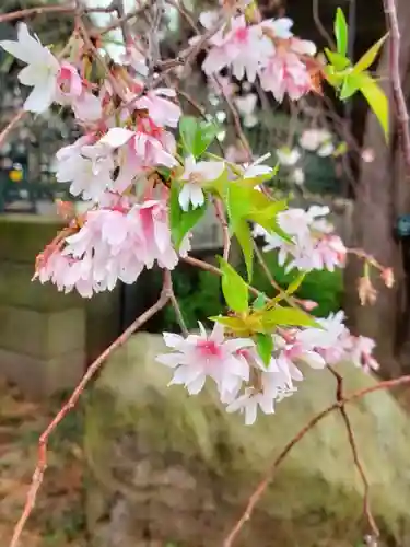 妙法寺(東京都)