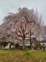 大安寺(宮城県)