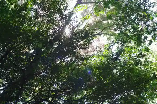 廣瀬大社(奈良県)