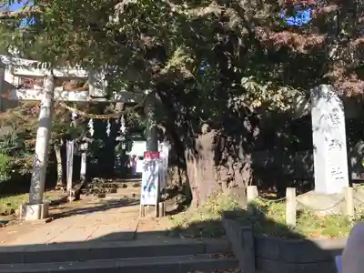 下高井戸八幡神社(東京都)