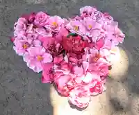 進雄神社(群馬県)