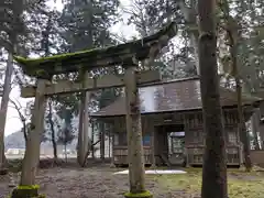 八幡神社(樺八幡神社)(福井県)