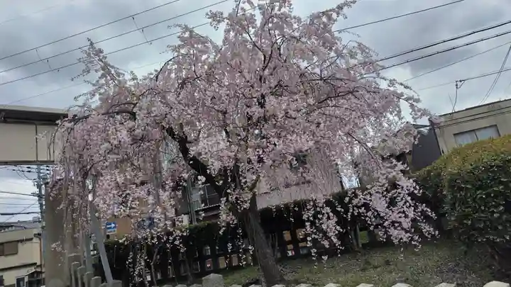 六孫王神社(京都府)
