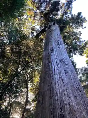 鹿島神宮(茨城県)