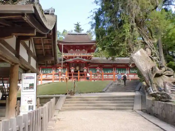 春日大社のその他建物