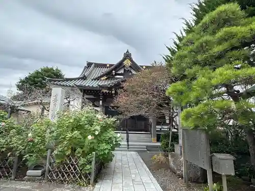 妙隆寺(神奈川県)