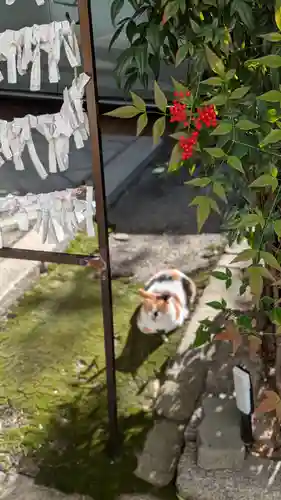 京都大神宮(京都府)