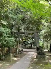 渋谷氷川神社の鳥居