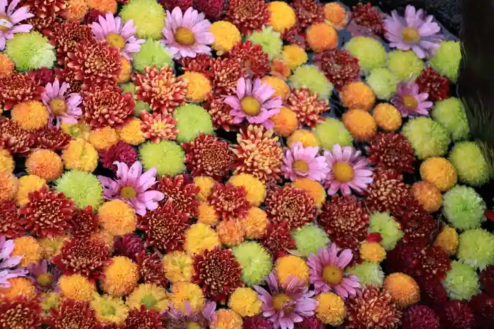 大鏑神社の手水舎