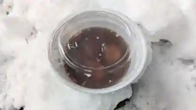 上川神社の食事