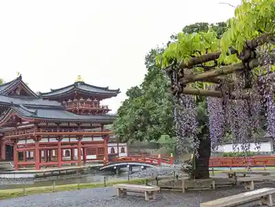 平等院(京都府)