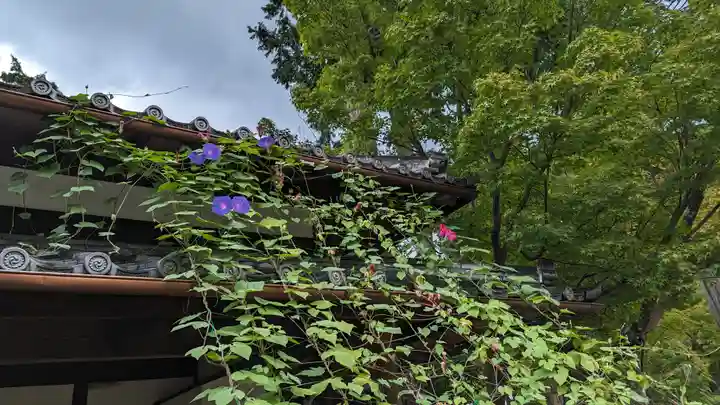 真正極楽寺(真如堂)(京都府)