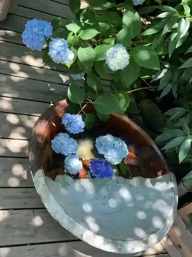 明月院(神奈川県)