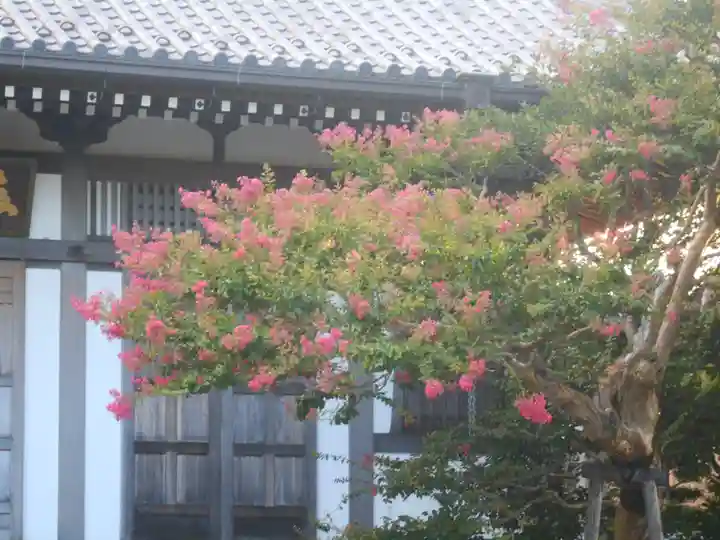 長谷寺のその他建物