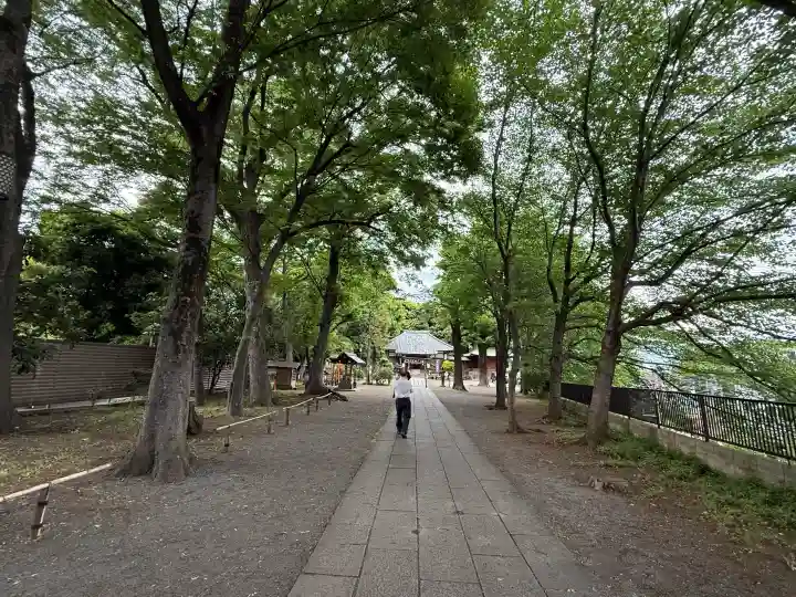 平塚神社の{uncategorized: "未分類", other: "その他", undefined: "問題あり", building: "その他建物", grave: "お墓", sacred_gate: "鳥居", guardian: "狛犬", statue: "像", buddha: "仏像", history: "歴史", nature: "自然", garden: "庭園", animal: "動物", pagoda: "塔", temizu: "手水舎", mountain_gate: "山門・神門", sanctuary: "本殿・本堂", subordinate: "末社・摂社", art: "芸術", scenery: "景色", jizo: "地蔵", ema: "絵馬", goshuin: "御朱印", omikuji: "おみくじ", items: "授与品その他", amulet: "お守り", goshuincho: "御朱印帳", eats: "食事", festival: "お祭り", votive_dance: "神楽", shichigosan: "七五三参", wedding: "結婚式", experience: "体験その他", initially: "初詣", around: "周辺", anti_infection: "感染症対策"}