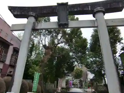 今市報徳二宮神社の鳥居
