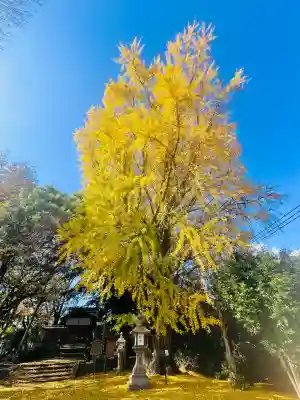三栖神社(京都府)