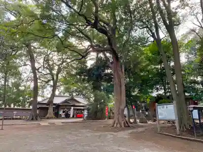 氷川女體神社のその他建物