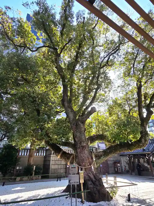 難波神社(大阪府)