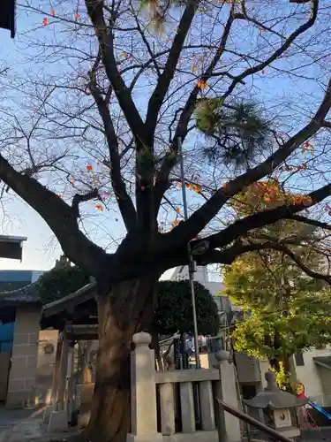 元町厳島神社の自然