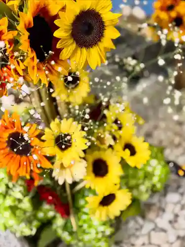 札幌諏訪神社の手水舎