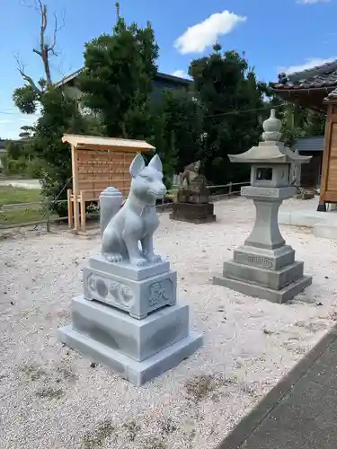 稲生神社の狛犬