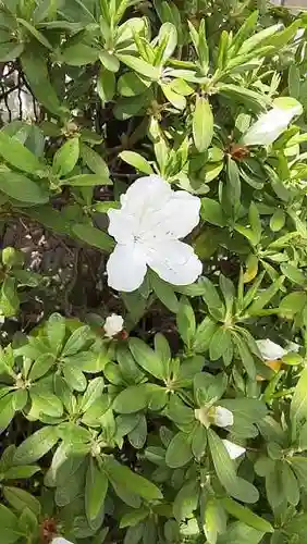 西方山極楽寺の自然