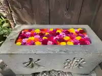 菅生神社の{uncategorized: "未分類", other: "その他", undefined: "問題あり", building: "その他建物", grave: "お墓", sacred_gate: "鳥居", guardian: "狛犬", statue: "像", buddha: "仏像", history: "歴史", nature: "自然", garden: "庭園", animal: "動物", pagoda: "塔", temizu: "手水舎", mountain_gate: "山門・神門", sanctuary: "本殿・本堂", subordinate: "末社・摂社", art: "芸術", scenery: "景色", jizo: "地蔵", ema: "絵馬", goshuin: "御朱印", omikuji: "おみくじ", items: "授与品その他", amulet: "お守り", goshuincho: "御朱印帳", eats: "食事", festival: "お祭り", votive_dance: "神楽", shichigosan: "七五三参", wedding: "結婚式", experience: "体験その他", initially: "初詣", around: "周辺", anti_infection: "感染症対策"}