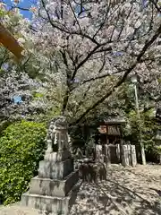 堀越神社(大阪府)