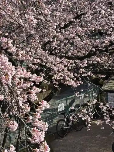密藏院の{uncategorized: "未分類", other: "その他", undefined: "問題あり", building: "その他建物", grave: "お墓", sacred_gate: "鳥居", guardian: "狛犬", statue: "像", buddha: "仏像", history: "歴史", nature: "自然", garden: "庭園", animal: "動物", pagoda: "塔", temizu: "手水舎", mountain_gate: "山門・神門", sanctuary: "本殿・本堂", subordinate: "末社・摂社", art: "芸術", scenery: "景色", jizo: "地蔵", ema: "絵馬", goshuin: "御朱印", omikuji: "おみくじ", items: "授与品その他", amulet: "お守り", goshuincho: "御朱印帳", eats: "食事", festival: "お祭り", votive_dance: "神楽", shichigosan: "七五三参", wedding: "結婚式", experience: "体験その他", initially: "初詣", around: "周辺", anti_infection: "感染症対策"}