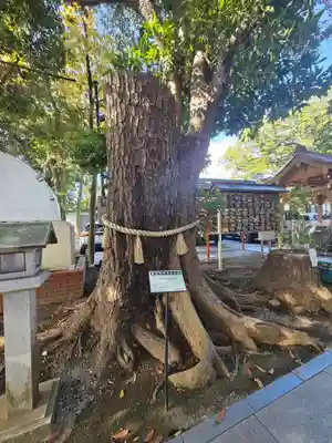 大宮・大原神社(千葉県)