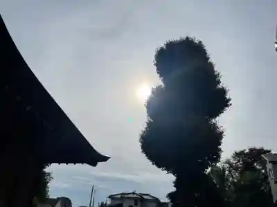 茨山稲荷神社のその他建物