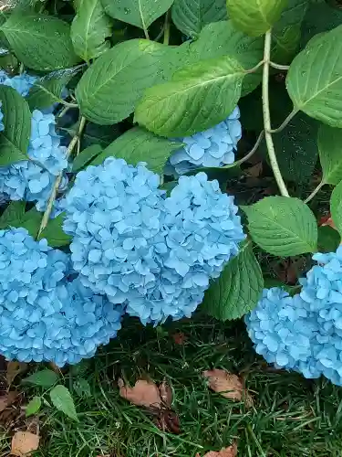 御裳神社(愛知県)