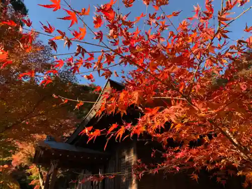普門寺(切り絵御朱印発祥の寺)の自然