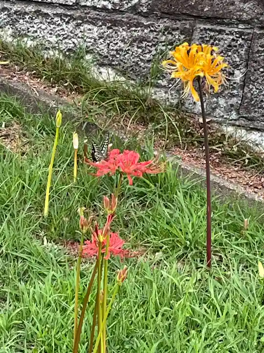 横浜 西方寺(神奈川県)