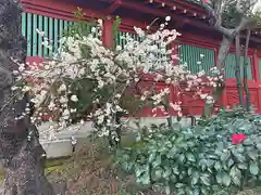 神田神社（神田明神）の自然