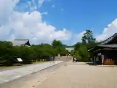 仁和寺の建物その他