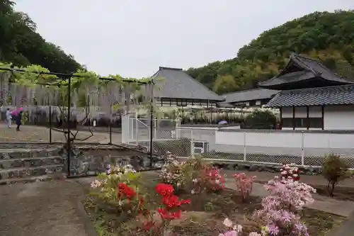 長泉寺の庭園