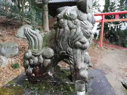 小幡八幡宮の狛犬