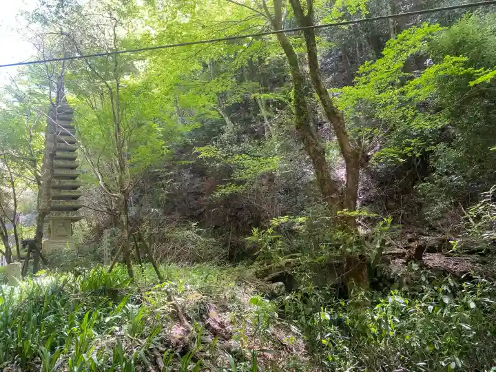施福寺の{uncategorized: "未分類", other: "その他", undefined: "問題あり", building: "その他建物", grave: "お墓", sacred_gate: "鳥居", guardian: "狛犬", statue: "像", buddha: "仏像", history: "歴史", nature: "自然", garden: "庭園", animal: "動物", pagoda: "塔", temizu: "手水舎", mountain_gate: "山門・神門", sanctuary: "本殿・本堂", subordinate: "末社・摂社", art: "芸術", scenery: "景色", jizo: "地蔵", ema: "絵馬", goshuin: "御朱印", omikuji: "おみくじ", items: "授与品その他", amulet: "お守り", goshuincho: "御朱印帳", eats: "食事", festival: "お祭り", votive_dance: "神楽", shichigosan: "七五三参", wedding: "結婚式", experience: "体験その他", initially: "初詣", around: "周辺", anti_infection: "感染症対策"}