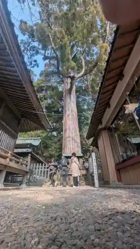 事任八幡宮(静岡県)