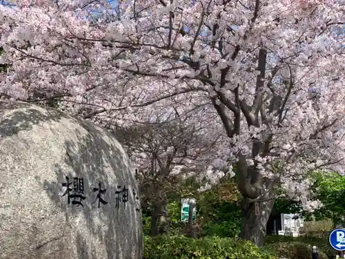 櫻木神社の自然
