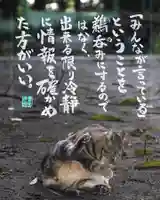 専念寺(大阪府)