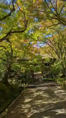 常寂光寺(京都府)