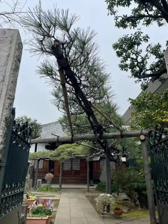 妙情寺の{uncategorized: "未分類", other: "その他", undefined: "問題あり", building: "その他建物", grave: "お墓", sacred_gate: "鳥居", guardian: "狛犬", statue: "像", buddha: "仏像", history: "歴史", nature: "自然", garden: "庭園", animal: "動物", pagoda: "塔", temizu: "手水舎", mountain_gate: "山門・神門", sanctuary: "本殿・本堂", subordinate: "末社・摂社", art: "芸術", scenery: "景色", jizo: "地蔵", ema: "絵馬", goshuin: "御朱印", omikuji: "おみくじ", items: "授与品その他", amulet: "お守り", goshuincho: "御朱印帳", eats: "食事", festival: "お祭り", votive_dance: "神楽", shichigosan: "七五三参", wedding: "結婚式", experience: "体験その他", initially: "初詣", around: "周辺", anti_infection: "感染症対策"}