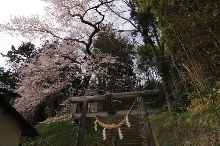 田村神社の鳥居