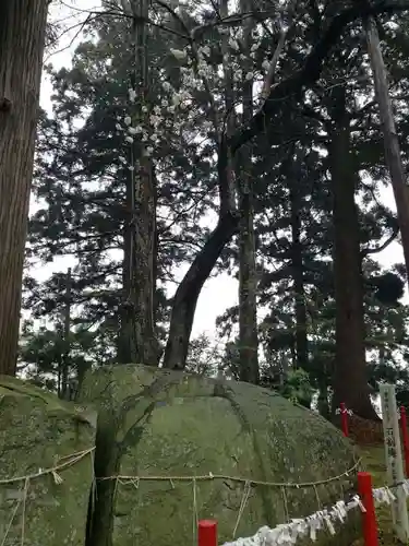 盛岡天満宮の建物その他