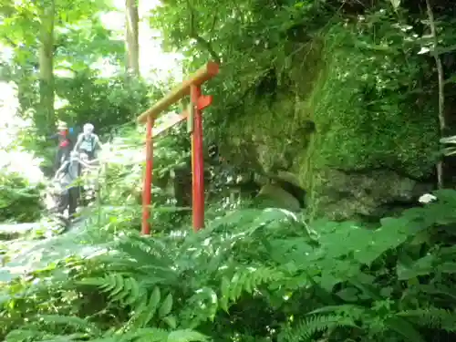 佐助稲荷神社の鳥居