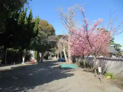 三島神社（今沢）(静岡県)