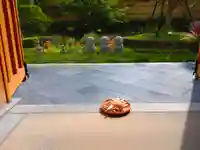 寿量山 速成寺(奈良県)